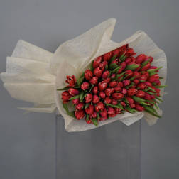 Bouquet of red tulips wrapped in white paper