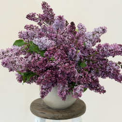 The I'm so happy it's Lilac Season Arrangement.