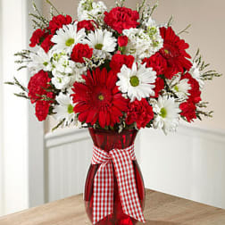 Red and white daisy bouquet in a red vase with a gingham ribbon