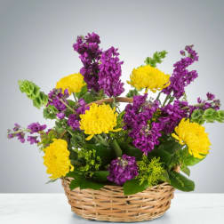 Snappy by BloomNation™