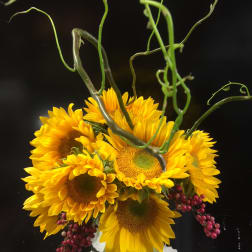 Bouquet of yellow sunflowers with curly green stems and pink berries