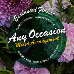 Purple and pink mixed flowers with large dahlia blooms