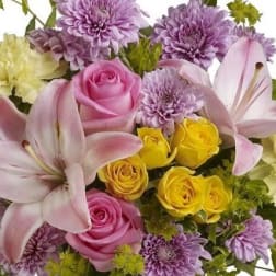 Designers Choice Pastel Arrangement