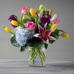 Garden Variety Special