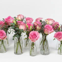 Multiple small glass bud vases holding pink roses and filler flowers against a white background