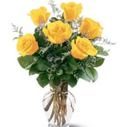 6 Yellow Roses