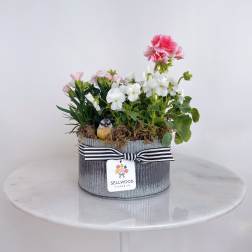 Oval galvanized planter with pink and white flowering plants, moss, and a small bird figurine with striped ribbon.