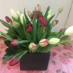 Bouquet of red and white tulips in a black square vase