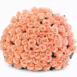 200 Peach Rose Bouquet
