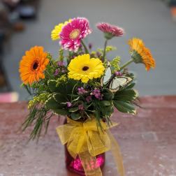 Gerber’s for a happy gift.