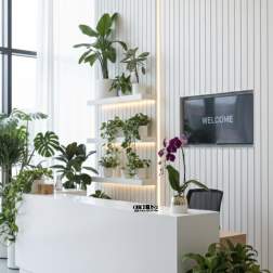Lobby reception with potted plants and a purple orchid on the counter