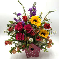 Sunny Garden Songbird