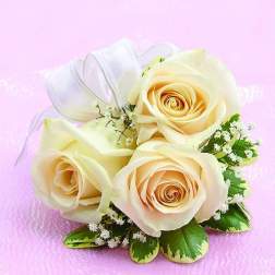 Three cream roses with white ribbon and small filler flowers