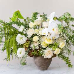 Green & White Elegance