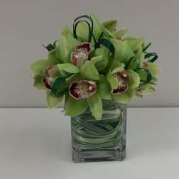 Green orchid bouquet in a square glass vase