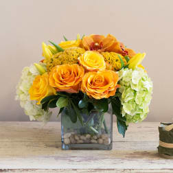 Orange and yellow roses with white hydrangeas in a square glass vase