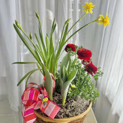 Spring Bulb Basket
