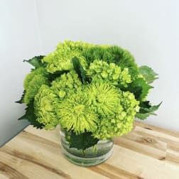 Green chrysanthemum arrangement in a clear glass vase