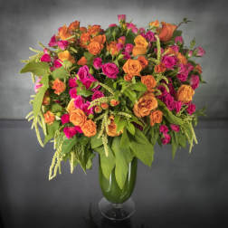 Rainbow Sherbet - Sherman Oaks