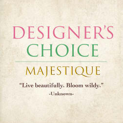 Designer's Choice Majestique