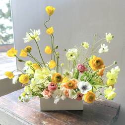 Noran (Gallery Photo)