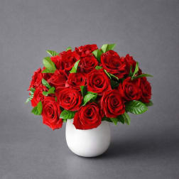 Red roses arranged in a white vase