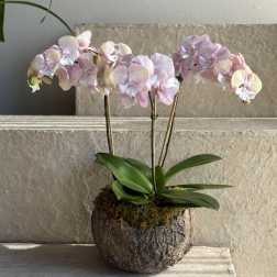 Mother's Day Arrangement #7