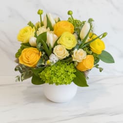 Compact yellow and white rose, tulip, ranunculus, and green hydrangea arrangement in a white round vase