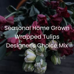 Wrapped Seasonal Mixed Local Tulips