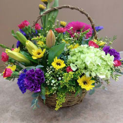 Mixed flower basket with tulips, daisies, hydrangea, and carnations