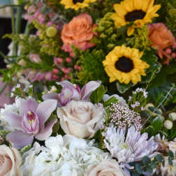 Designer's Choice - Luxe