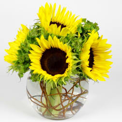 Sunflower bouquet in a round glass vase with twisted branches