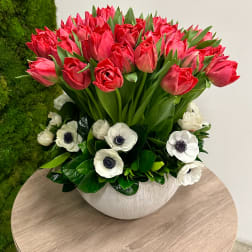 Low white bowl of red tulips with white anemones in a compact arrangement