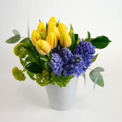 Yellow tulips and purple hyacinths in a white vase
