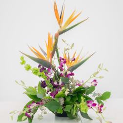 Tropical flower arrangement with orange bird of paradise and purple orchids