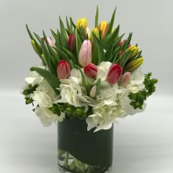 Mixed tulips and white hydrangeas in a glass vase
