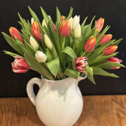 Tulip bouquet in a white ceramic pitcher vase