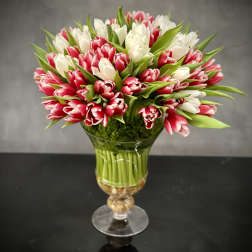 Bouquet of pink and white tulips in a glass vase