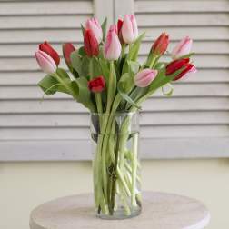 Pink and red tulips in a clear glass vase