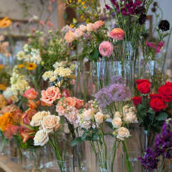 Designer's Choice - Low & Lush