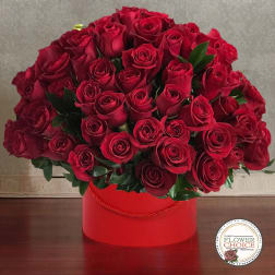 Red roses arranged in a red round box