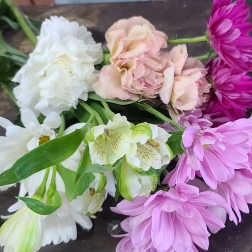 Assorted pink, white, and purple flowers laid on a dark surface