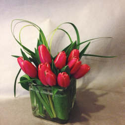 Red tulips arranged in a square glass vase with looping grass