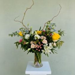 LF407 Sunshine Stems