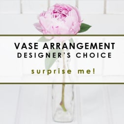DESIGNER'S CHOICE - IN VASE - SURPRISE ME