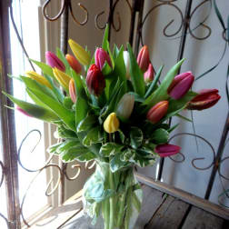 Bouquet of multicolored tulips in a clear glass vase