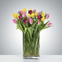 Bouquet of pink, yellow, and purple tulips in a clear glass vase