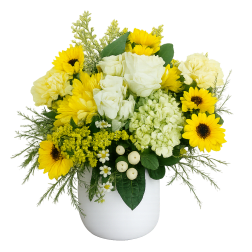 Sunshine Daisy Bouquet