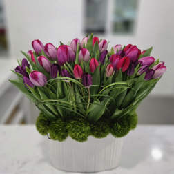 Bouquet of pink and purple tulips in a white vase