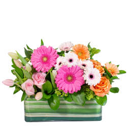 Pink and orange gerbera daisies with roses in a striped glass vase